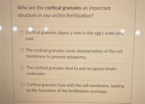 Solved Why are the cortical granules an important structure | Chegg.com