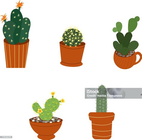 Ilustración De Conjunto De Plantas De Cactus En Macetas Y Más Vectores