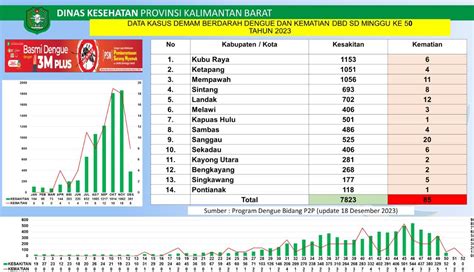 Waspada Demam Berdarah Naik Hingga 7 823 Kasus Di Kalbar SUARAKALBAR