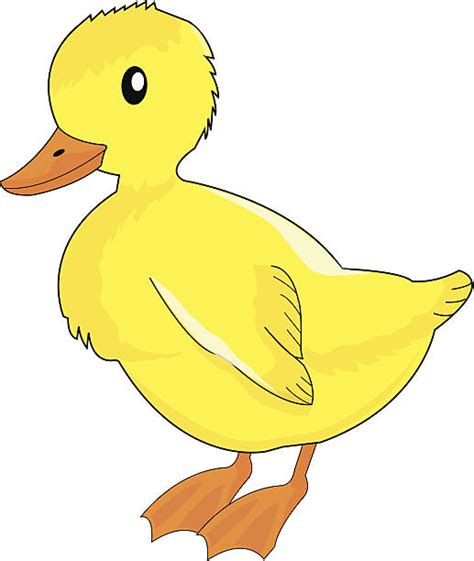 80 Duck Feet Swimming Stock Illustrations Royalty Free Vector