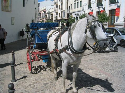 Best Things To Do In Ronda Essential 5 Hour Travel Guide