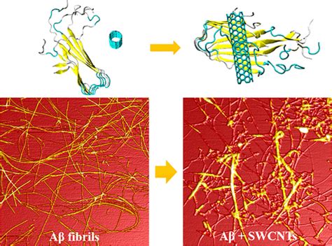 Investigation Of The Dissociation Mechanism Of Single Walled Carbon