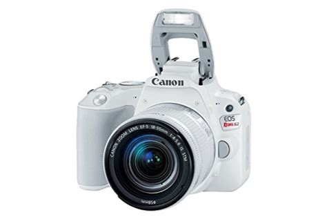 Canon Eos Rebel Sl2 242mp Dslr Camera Online At Lowest Price In India