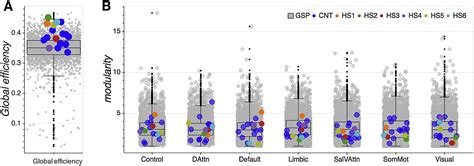 Intrinsic Functional Connectivity Of The Brain In Adults With A Single