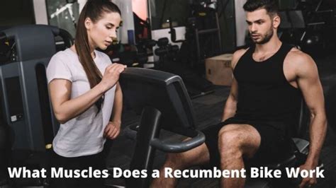 What Muscles Does A Recumbent Bike Work To Get Maximum Results 2024