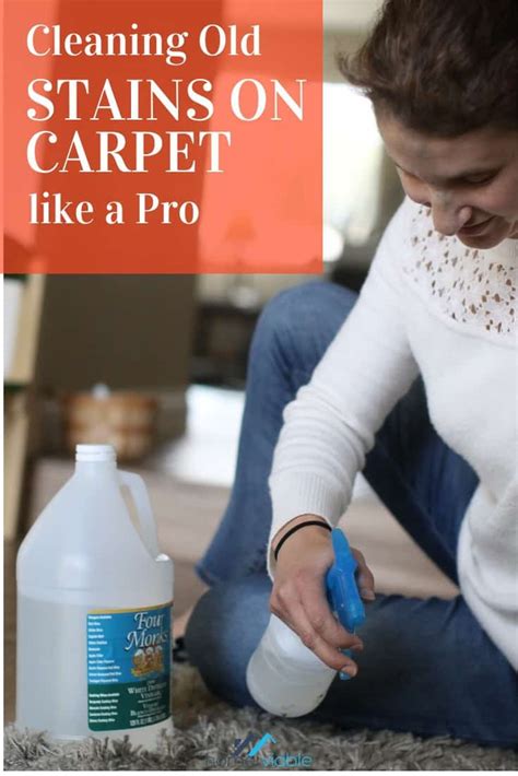 How To Get Old Stains Out Of Carpet | HomeViable