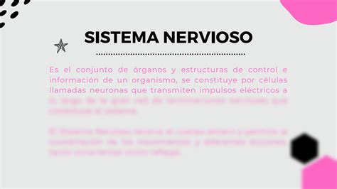 SOLUTION Neurociencias Tema 3 Sistema Nervioso Studypool