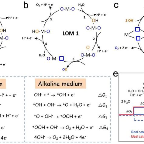 A Aem For Oer B Lom For Oer With One Oxygen Atom Originated From The