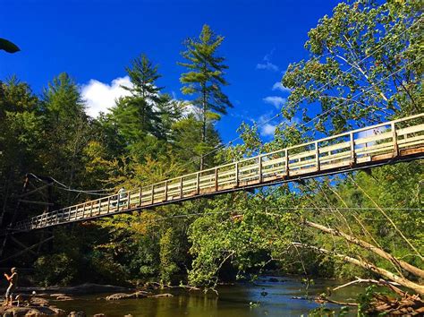 Toccoa River Swinging Bridge Photograph by Richie Parks | Fine Art America