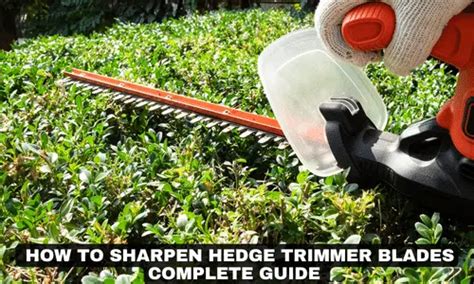 How To Sharpen Hedge Trimmer Blades With 3 Different Methods