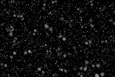 260 Free Snow Overlay for Photoshop – Download Now!