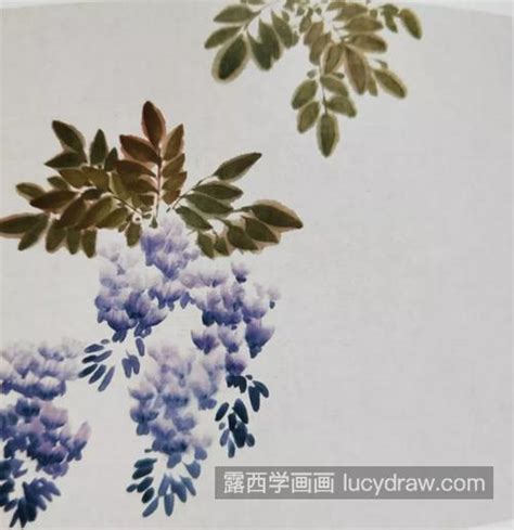 紫藤花怎么画？朱藤的国画步骤有哪些？ 露西学画画