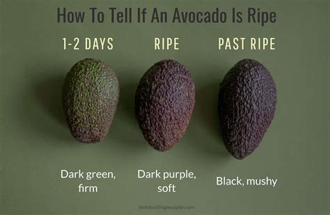 How Can You Tell If An Avocado Is Bad