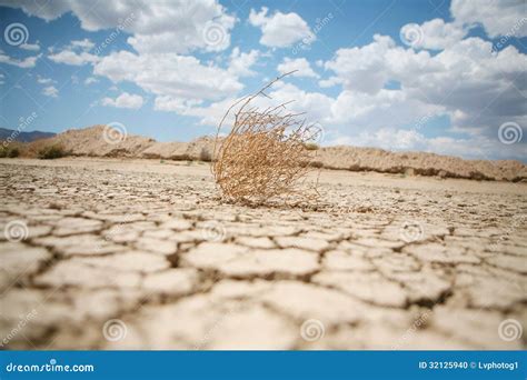 Desert Tumbleweed And Fencing Royalty-Free Stock Photography | CartoonDealer.com #625067