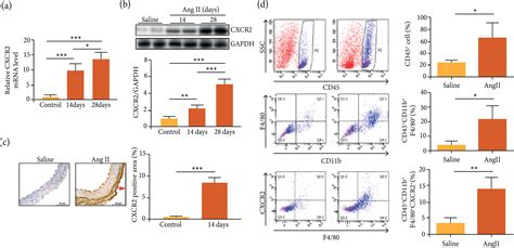 SciELO Brasil Inhibition Of CXCR2 Alleviates The Development Of