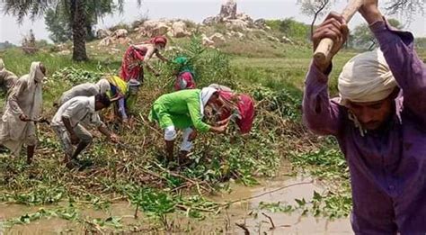 Employment क्या भारत में रोजगार की स्थिति बेहतर हो रही है Webdunia