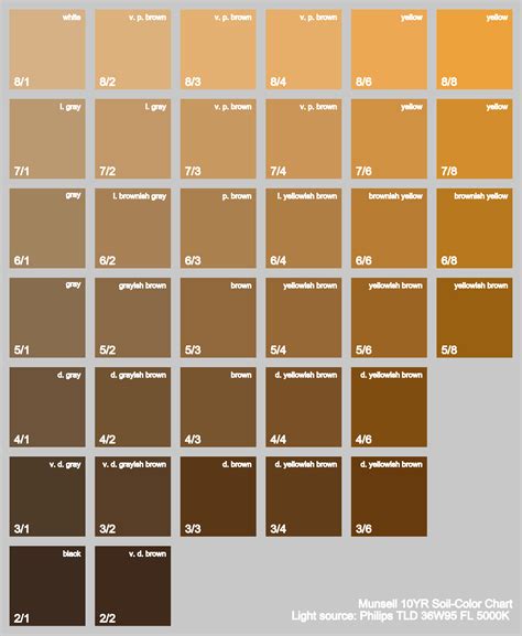 Munsell 10YR Soil Color Chart under Various Light Sources