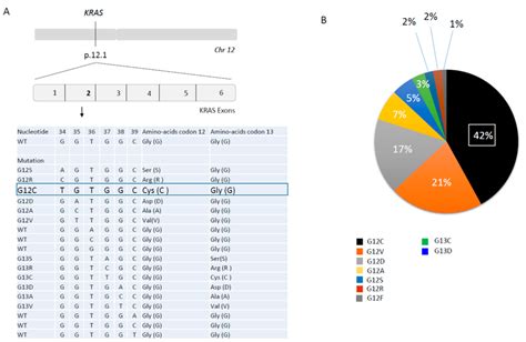 Kras Mutations At Codon And Codon A Nomenclature By Nucleotide