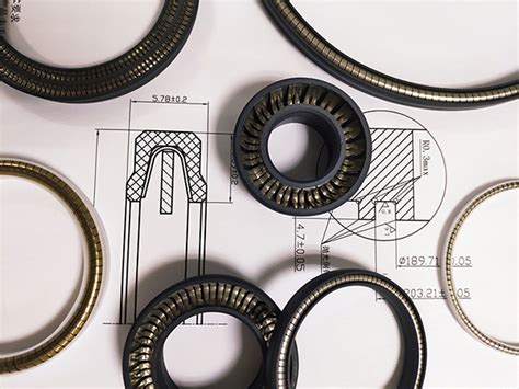 How To Choose Spring Energized Seals Materials