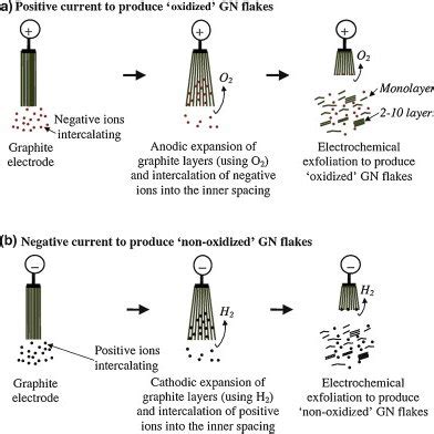 Schematic Representation Of The Liquid Phase Exfoliation Process Of