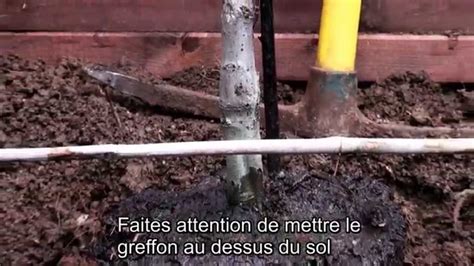 Verger Comment R Ussir La Plantation De Vos Arbres Fruitiers Youtube