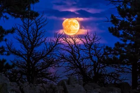 Blood Moon Rise David Mayhew Photography