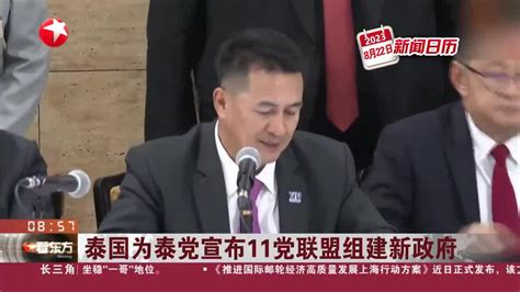 新闻日历 泰国为泰党宣布11党联盟组建新政府 泰国 新浪新闻