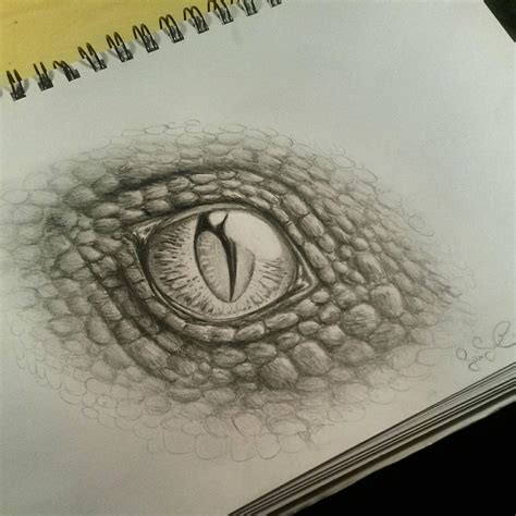 Dragon Eye Sketch By Kuolonenkeli