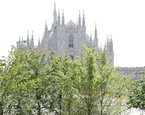 Forestami 3 Milioni Di Alberi A Milano Entro Il 2030