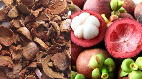 Benefits of Dry Mangosteen Peel | foodfeatures.net