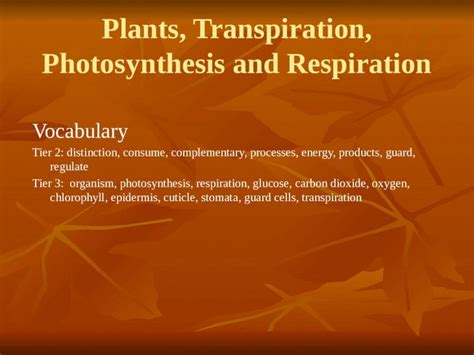 (PPTX) Plants, Transpiration, Photosynthesis and Respiration - DOKUMEN.TIPS