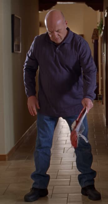 Genuienly Why That Fuck Did Hank Do This R Okbuddychicanery