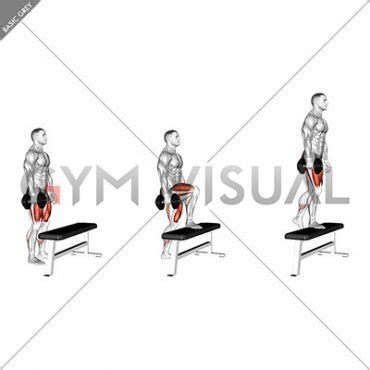 Dumbbell Single Leg Step-up on Bench