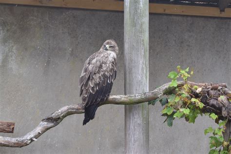 Mablethorpe Seal Sanctuary | UK Family Days Out | Me Becoming Mum