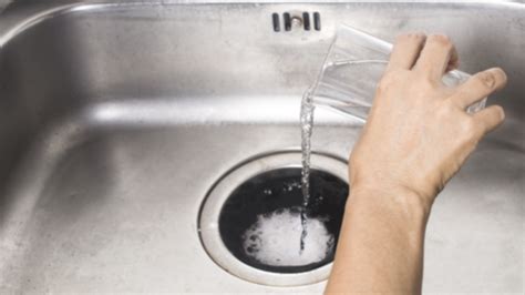 Kitchen Sink Clogged Water Rising | Dandk Organizer