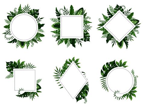 Tropical Leaves Frame Vector Hd Images Exotic Leaf Frame Tropical