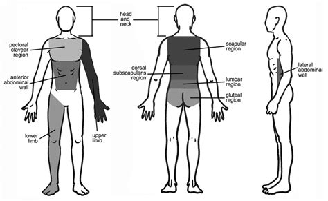 Jcm Free Full Text Analysis Of The Different Lymphatic Drainage