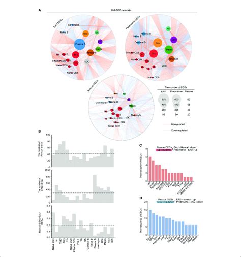 Gene Expression Networks Show Cell Type Specific Regulation Among