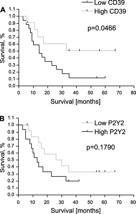 Survival Curves Kaplan Meier Plots Of The Postoperative Survival