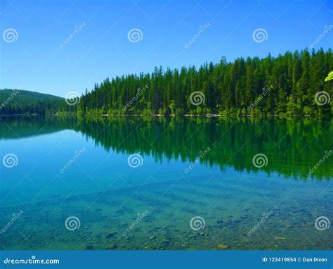 Kintla Lake Area in Glacier Park Stock Photo - Image of peace, foot ...