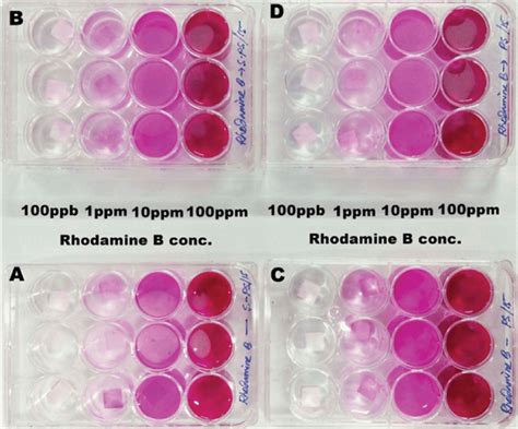 The Attachment Of Rhodamine B With Ps And Sps Membrane A And B Are The Download Scientific