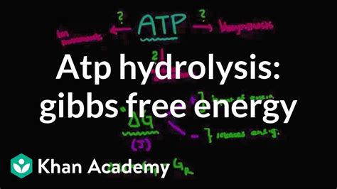 Atp Hydrolysis Energy