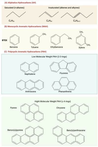 1 Structure Of Hydrocarbons Download Scientific Diagram