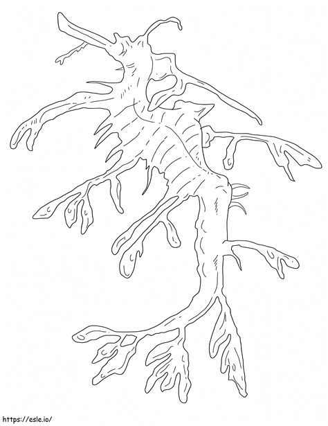 Leafy Sea Dragon Coloring Page