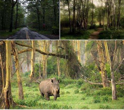 Taman Nasional Ujung Kulon Menyimpan Sejuta Kisah Mistis Posmo