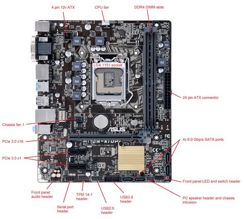 Asus B150m C Bios Update