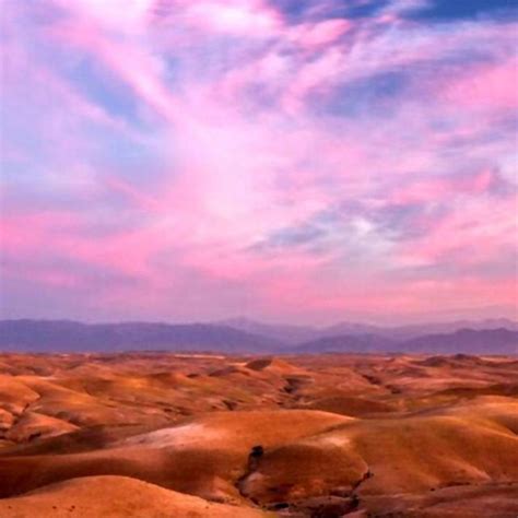 Au D Part De Marrakech D Ner Au Coucher Du Soleil Dans Le D Sert D