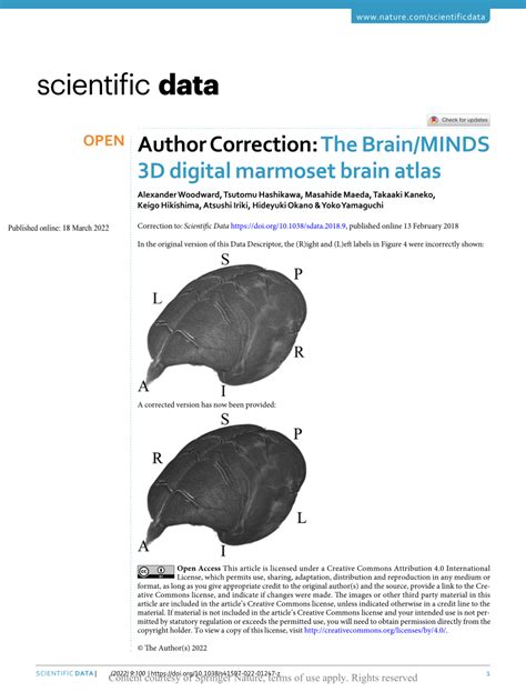 Pdf Author Correction The Brain Minds 3d Digital Marmoset Brain Atlas