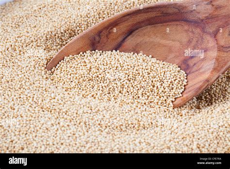 Healthy Amaranth Grain A Staple Food Of The Aztecs And Becoming