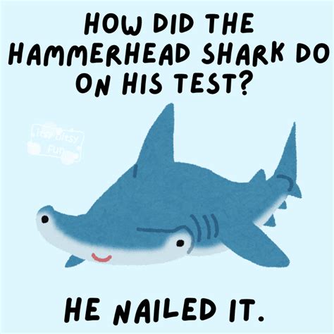 25+ Shark Puns and Jokes for Kids - Itsy Bitsy Fun